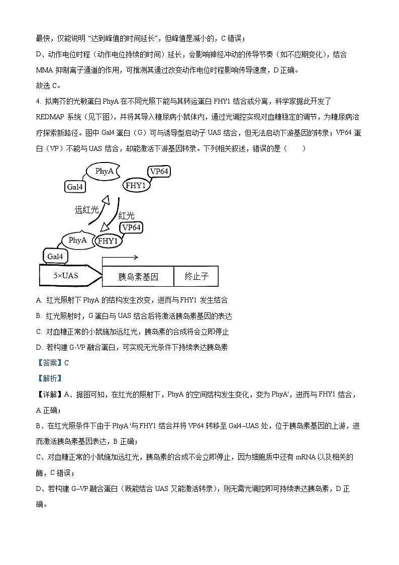 安徽六安市第一中学2025年秋学期高二年级期末考试生物试卷（解析版）第3页