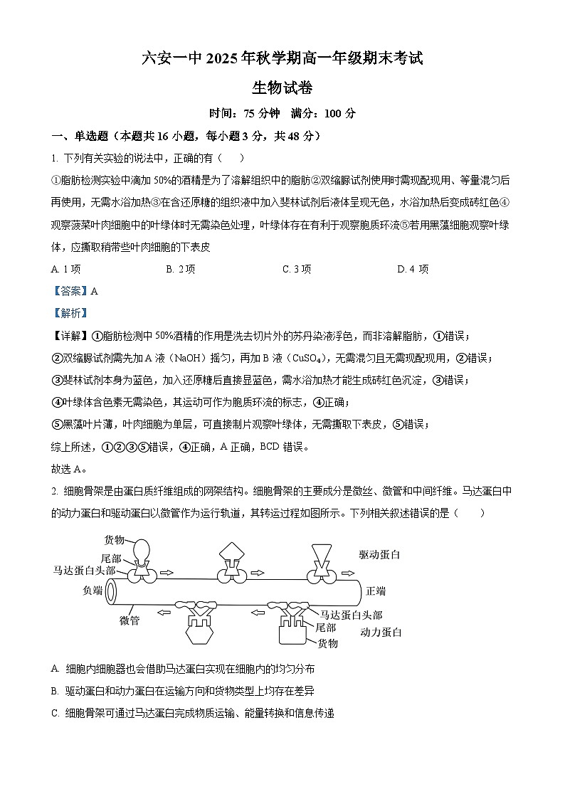 安徽六安市第一中学2025年秋学期高一年级期考试生物试卷（解析版）第1页