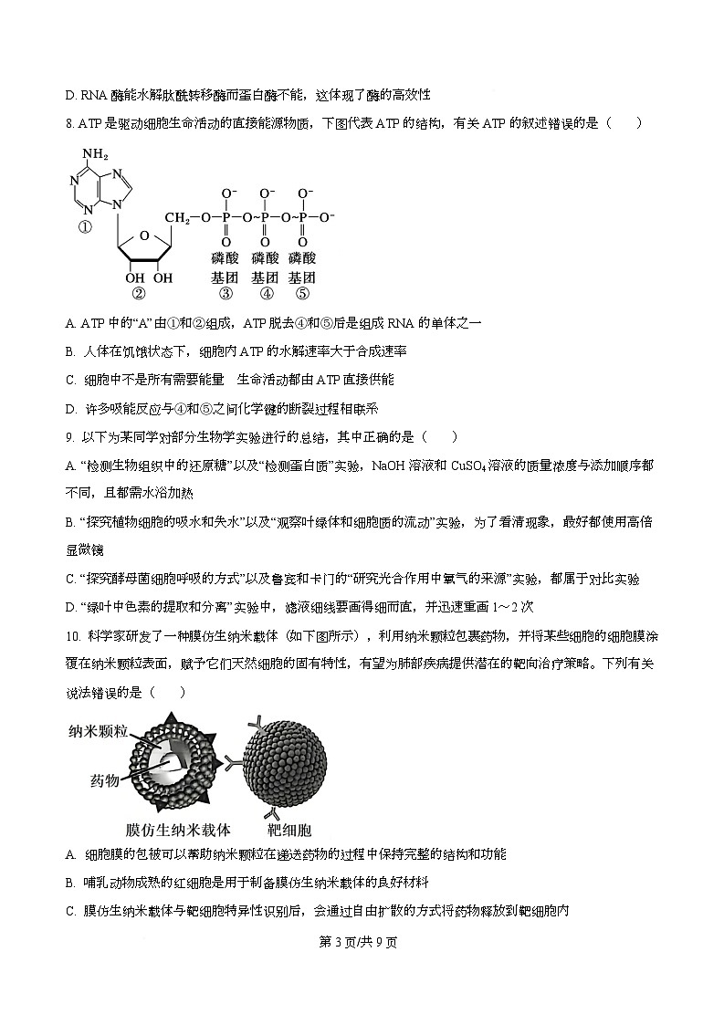 湖北十堰市2025-2026学年度上学期期末调研考试高一生物试题  Word版无答案第3页