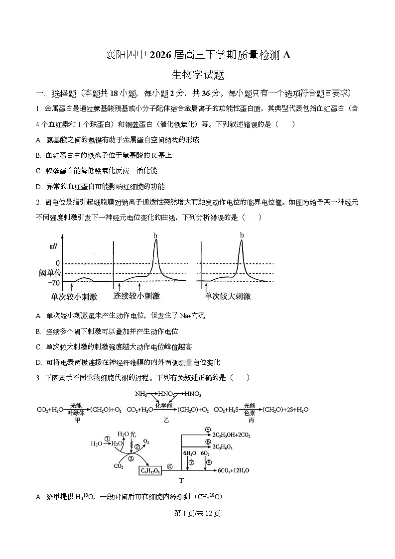 湖北襄阳市第四中学2026届高三下学期开学质量检测A生物学试题  Word版无答案第1页