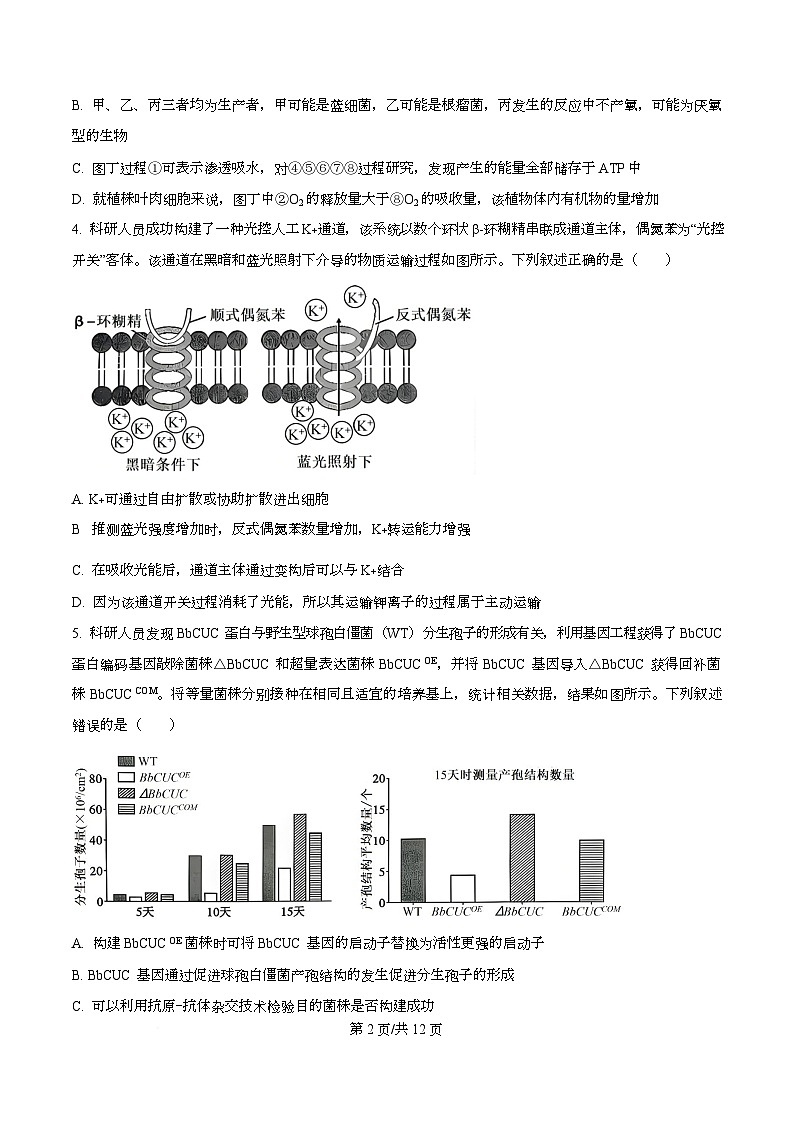 湖北襄阳市第四中学2026届高三下学期开学质量检测A生物学试题  Word版无答案第2页