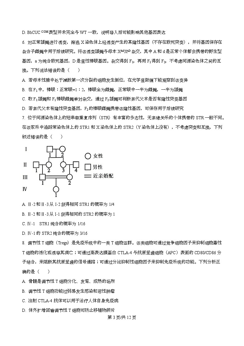 湖北襄阳市第四中学2026届高三下学期开学质量检测A生物学试题  Word版无答案第3页