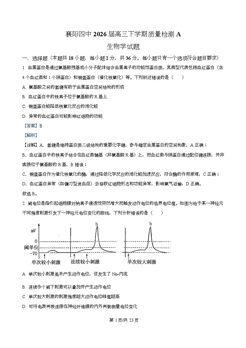 湖北襄阳市第四中学2026届高三下学期开学质量检测A生物学试题  Word版含解析第1页