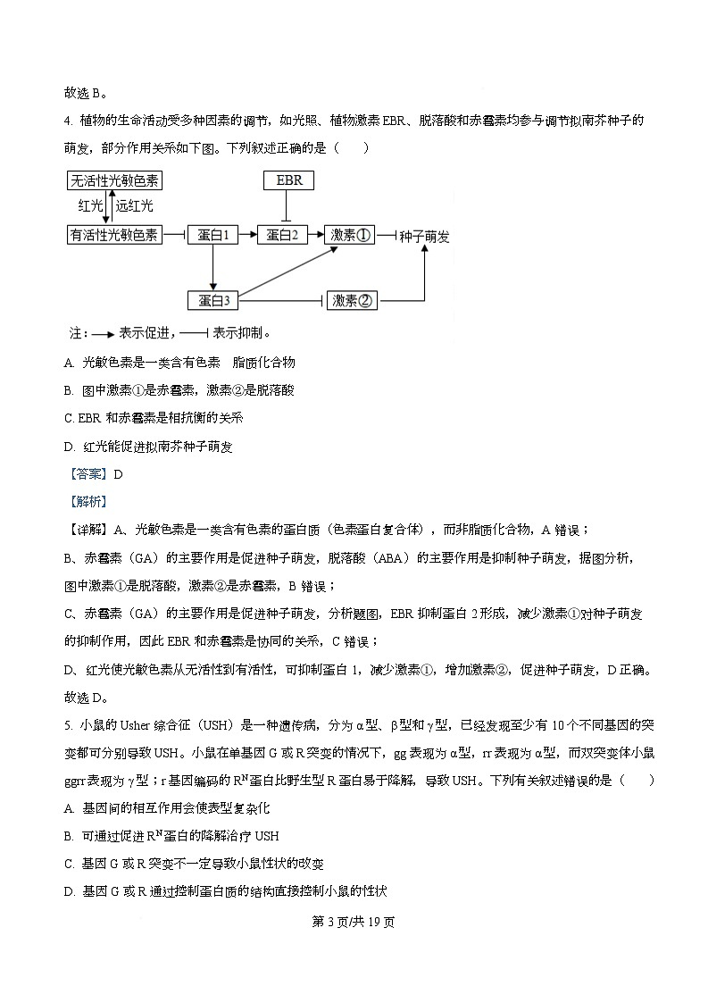 湖北云学联盟2026年高三年级下学期2月阶段训练生物学试卷  Word版含解析第3页