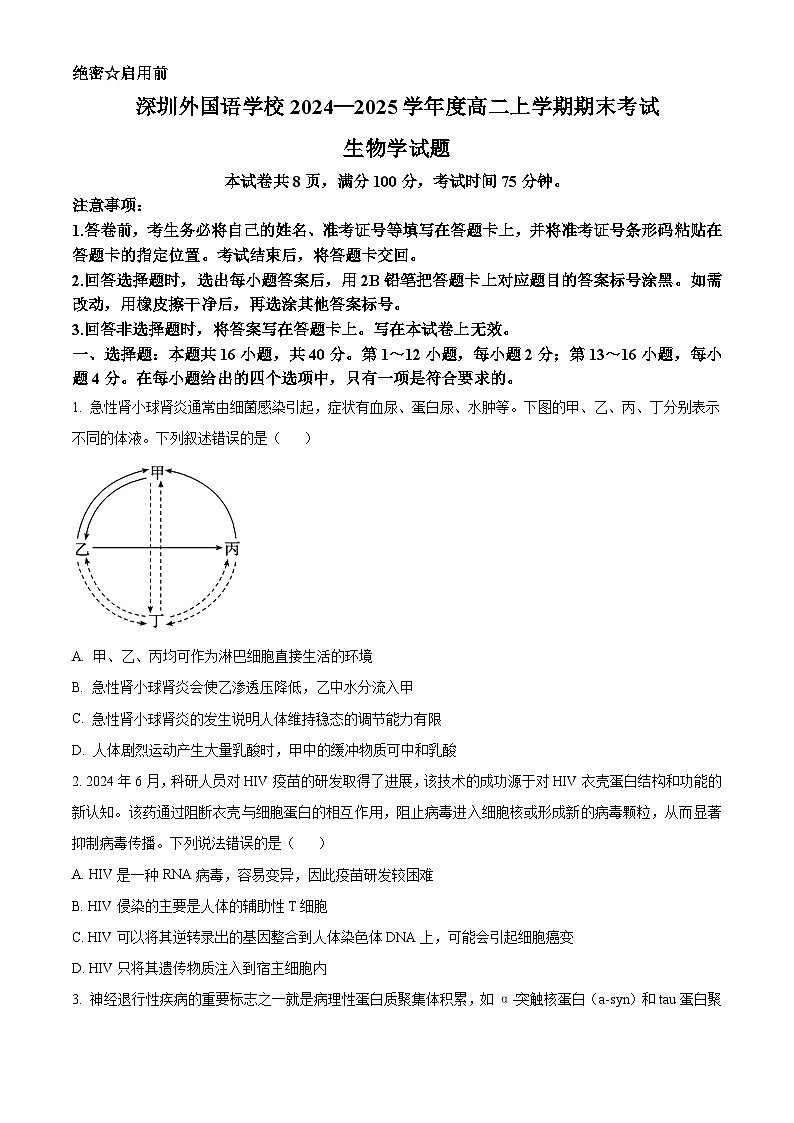 精品解析：广东省深圳外国语学校2024-2025学年高二上学期期末生物试题（原卷版）第1页