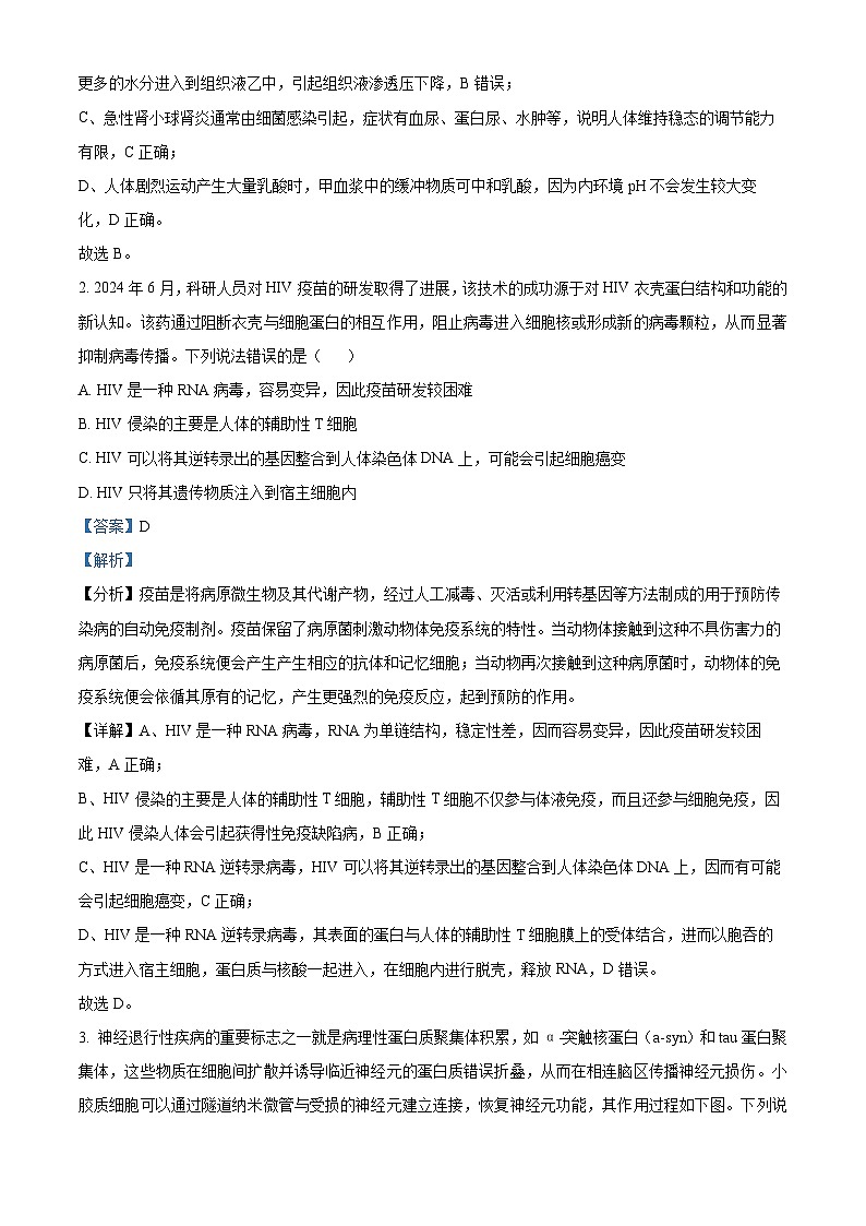 精品解析：广东省深圳外国语学校2024-2025学年高二上学期期末生物试题（解析版）第2页