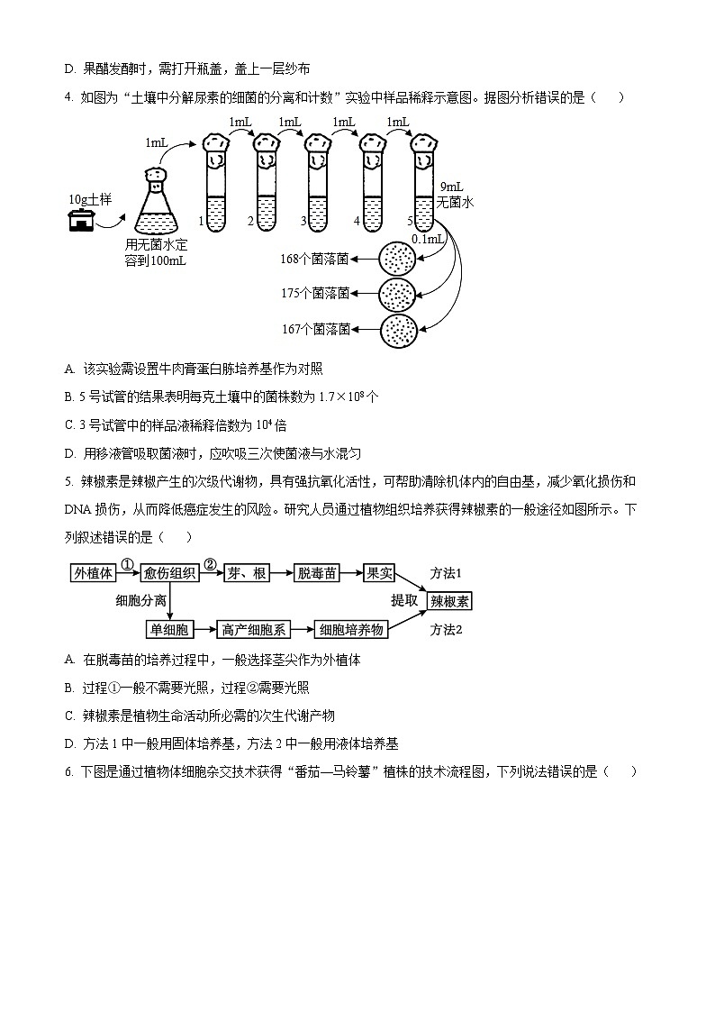 精品解析：广东省深圳外国语学校2024-2025学年高二下学期期中考试生物试题（原卷版）第2页