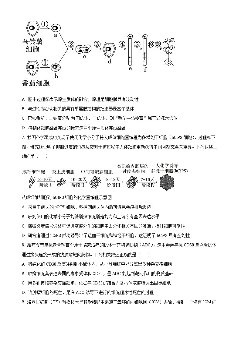 精品解析：广东省深圳外国语学校2024-2025学年高二下学期期中考试生物试题（原卷版）第3页