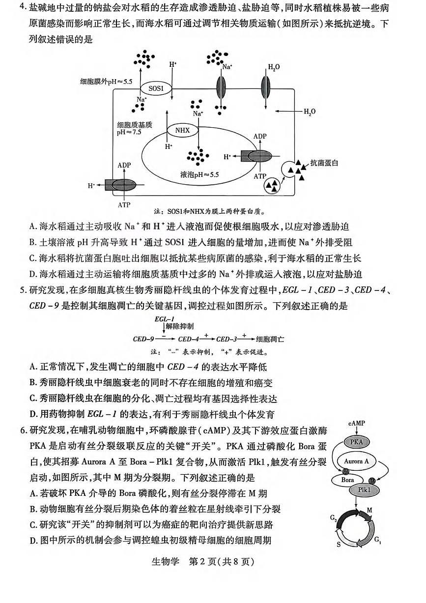 生物丨山西省晋中市2026届高三上学期2月适应性调研考试试卷及答案第2页