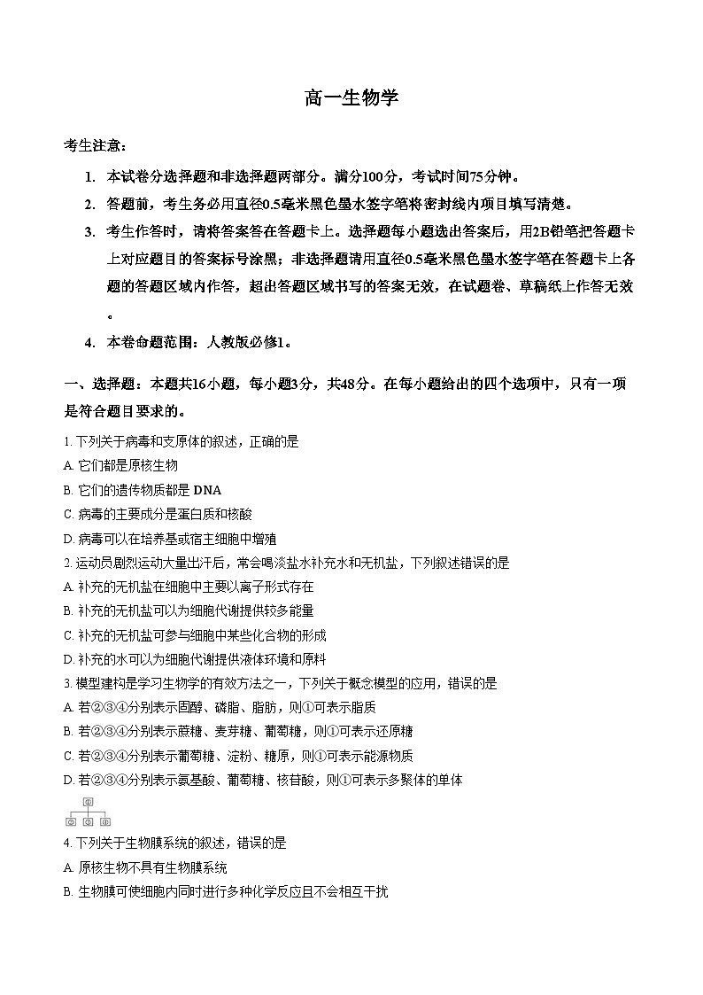 陕西省商洛市洛南中学等校2025_2026学年高一上学期期末生物试卷（文字版，含答案）第1页