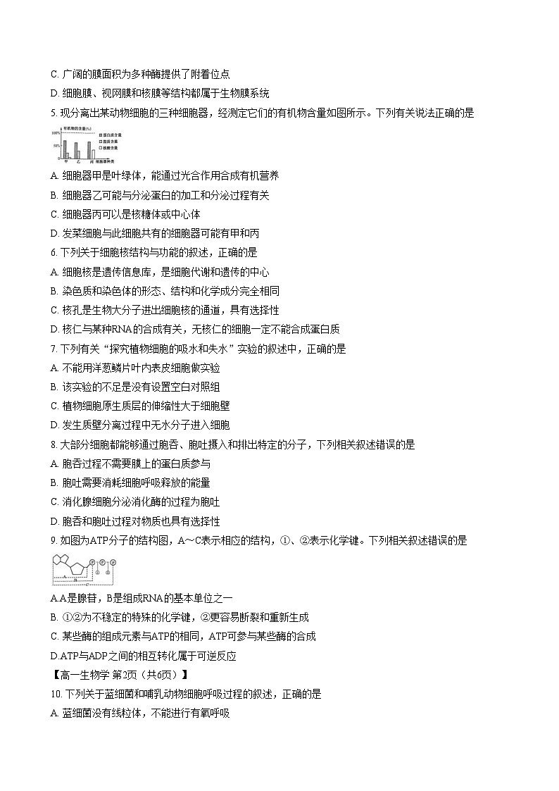 陕西省商洛市洛南中学等校2025_2026学年高一上学期期末生物试卷（文字版，含答案）第2页