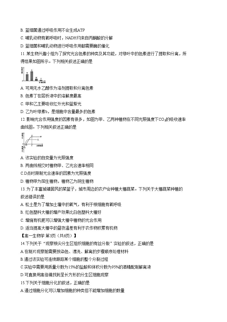 陕西省商洛市洛南中学等校2025_2026学年高一上学期期末生物试卷（文字版，含答案）第3页