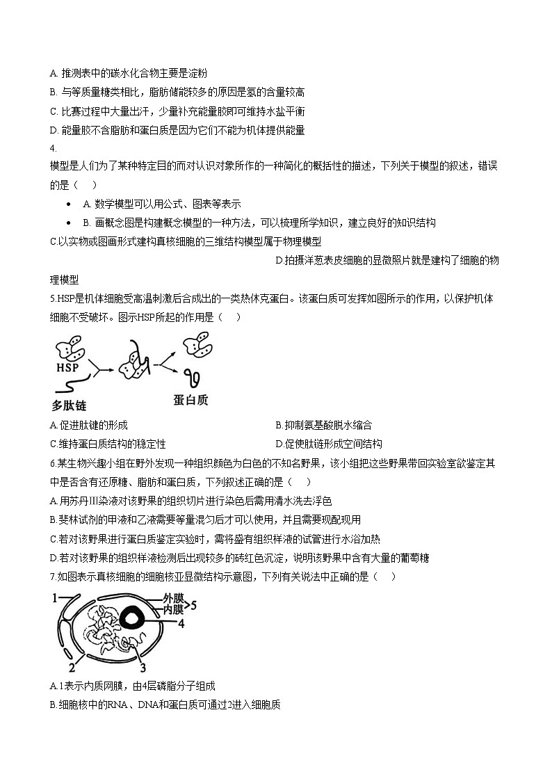陕西渭南市大荔县2025—2026学年度第一学期期末学业水平评估高一生物学试题（文字版，含答案）第2页