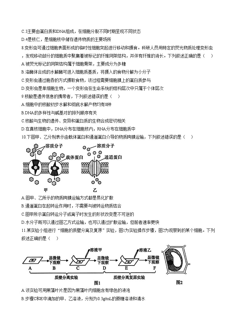 陕西渭南市大荔县2025—2026学年度第一学期期末学业水平评估高一生物学试题（文字版，含答案）第3页