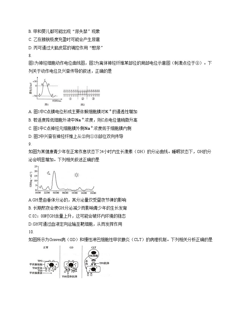 山西省长治市部分学校2025_2026学年高二上学期期中考试生物试题（文字版，含答案）第3页