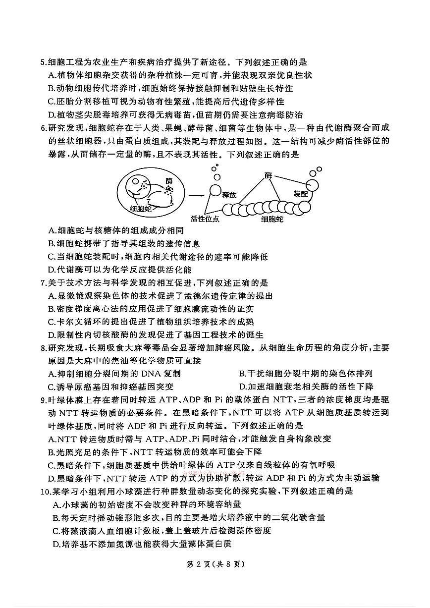 生物答案第2页