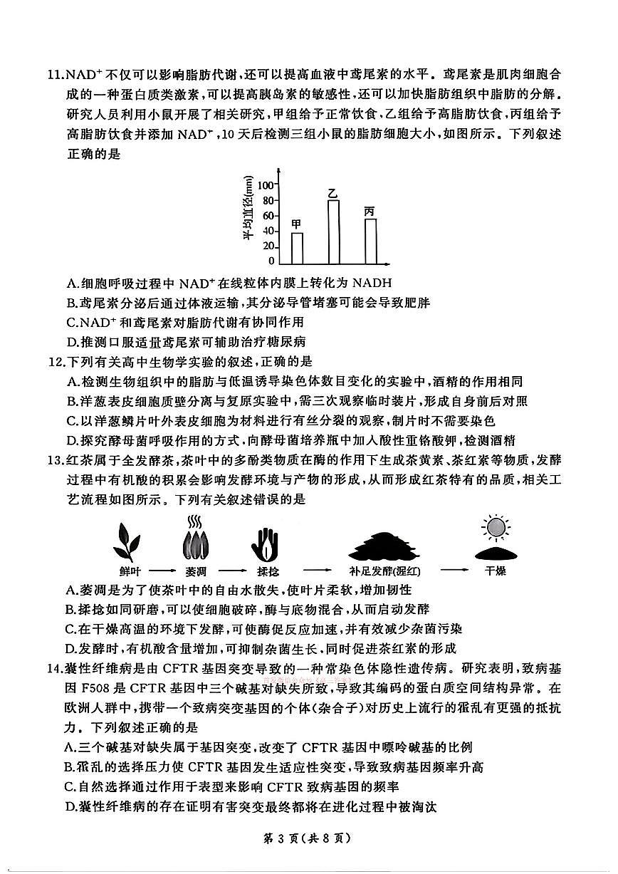生物答案第3页