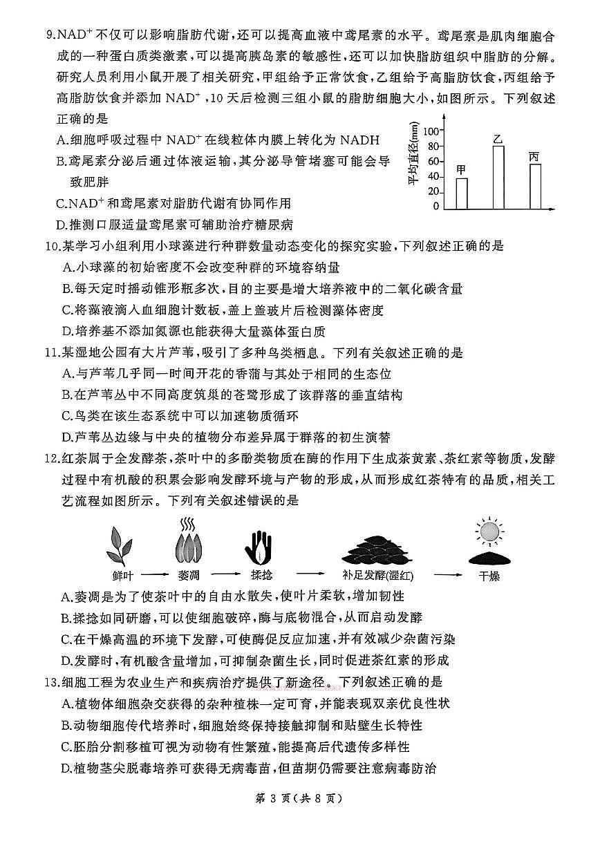 生物第3页