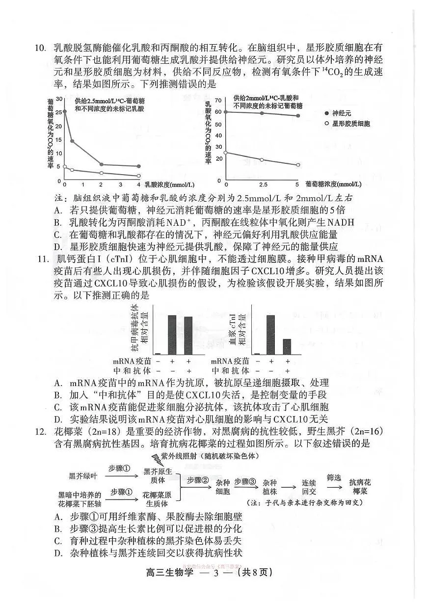 生物第3页