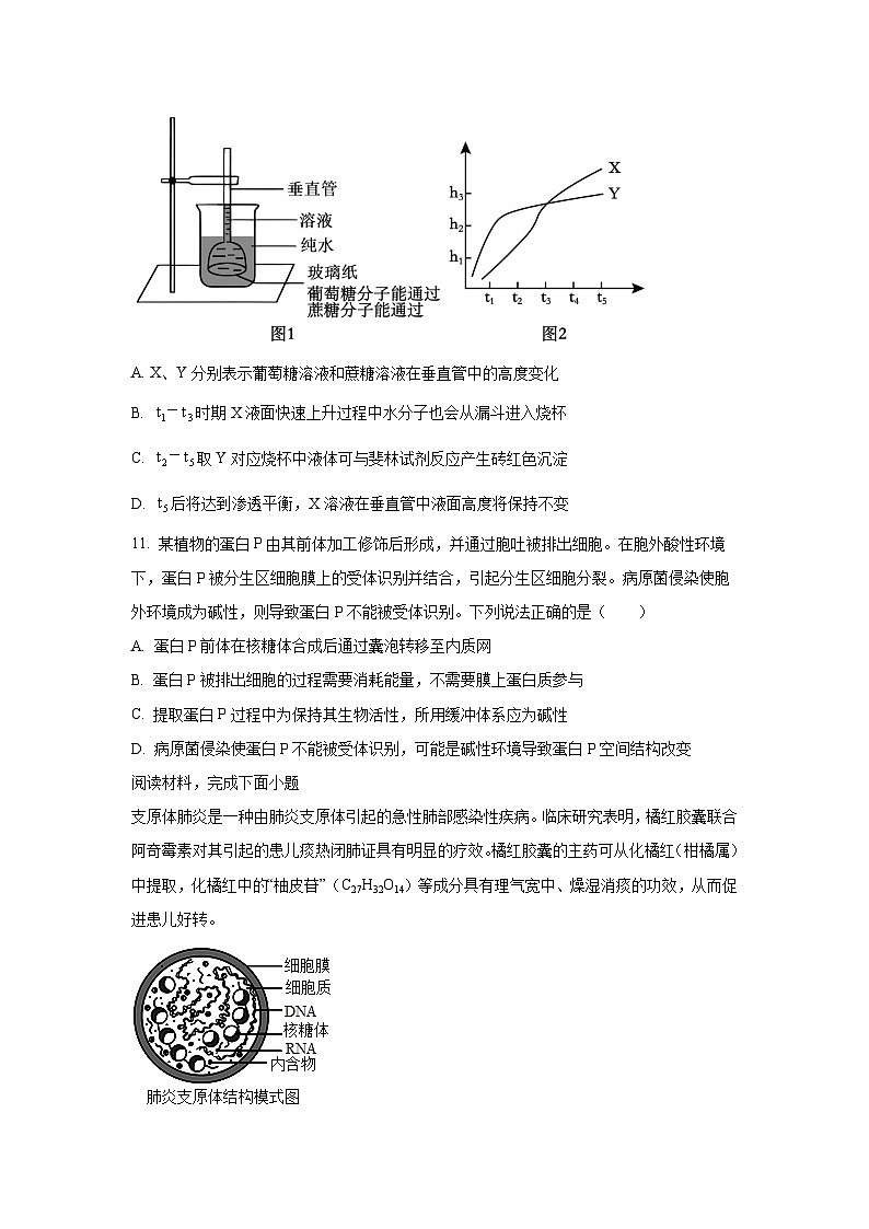 【生物】重庆市长寿区2025-2026学年高一上学期期末试题（学生版）第3页