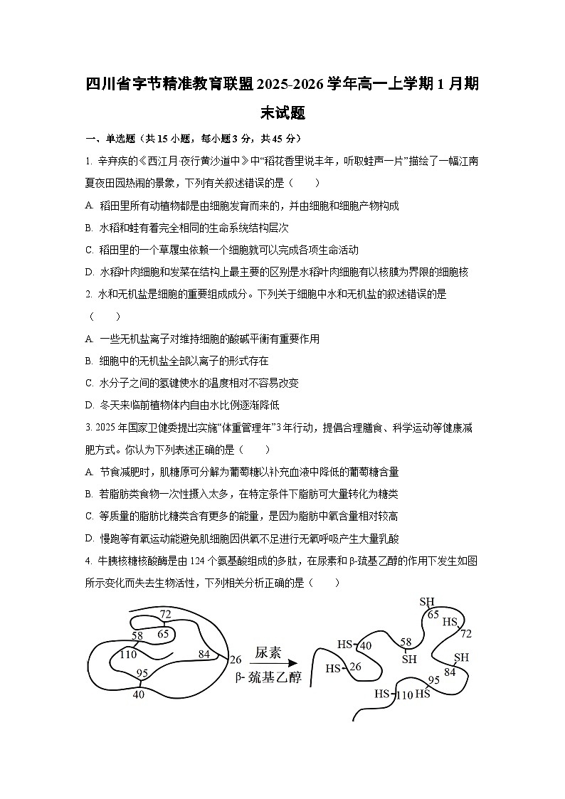 【生物】四川省字节精准教育联盟2025-2026学年高一上学期1月期末试题（学生版）第1页