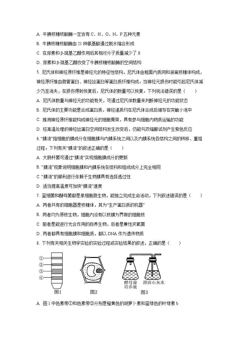 【生物】四川省字节精准教育联盟2025-2026学年高一上学期1月期末试题（学生版）第2页