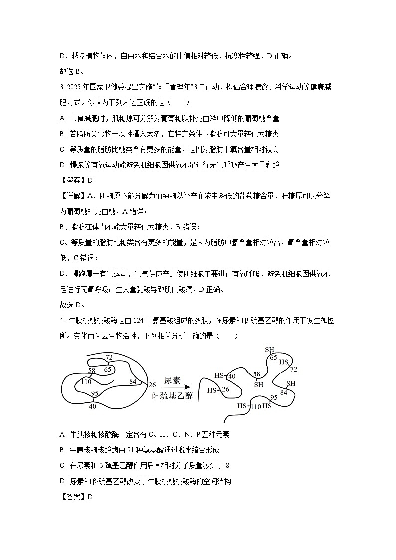 【生物】四川省字节精准教育联盟2025-2026学年高一上学期1月期末试题（解析版）第2页