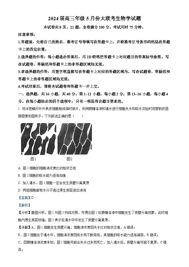 2024届广东省高三下学期5月三模生物试题（解析版）-A4第1页