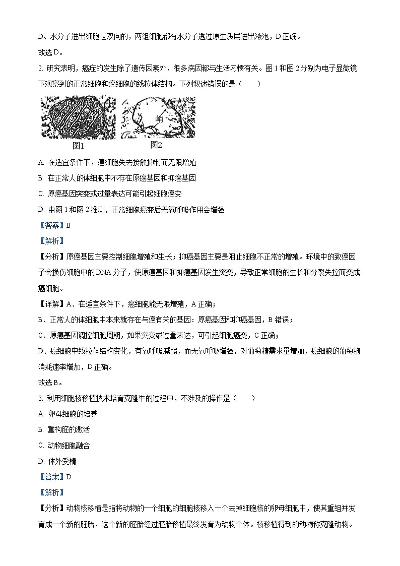 2024届广东省高三下学期5月三模生物试题（解析版）-A4第2页