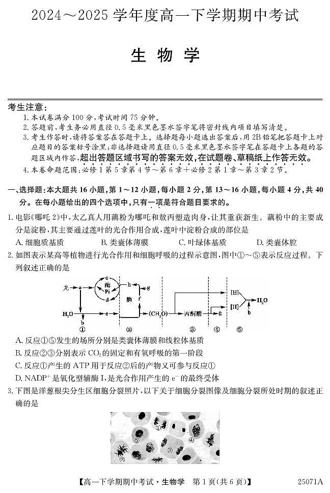 广东省部分学校高一下学期期中生物试题第1页