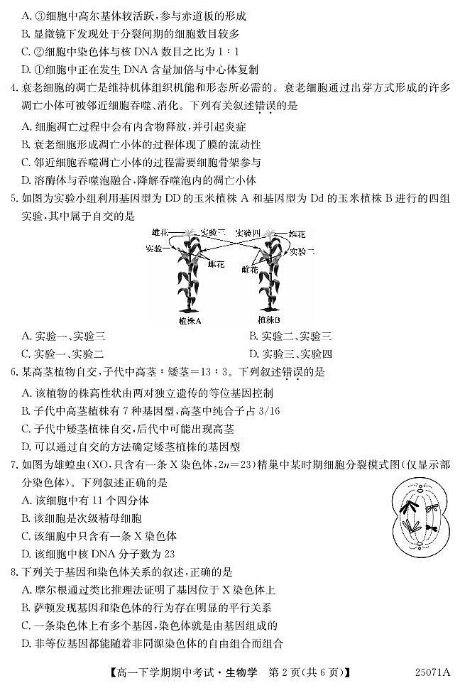 广东省部分学校高一下学期期中生物试题第2页