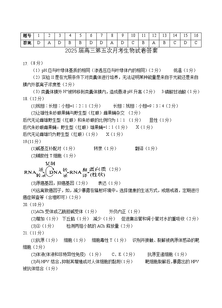 2025届高三第五次月考生物试卷答案第1页