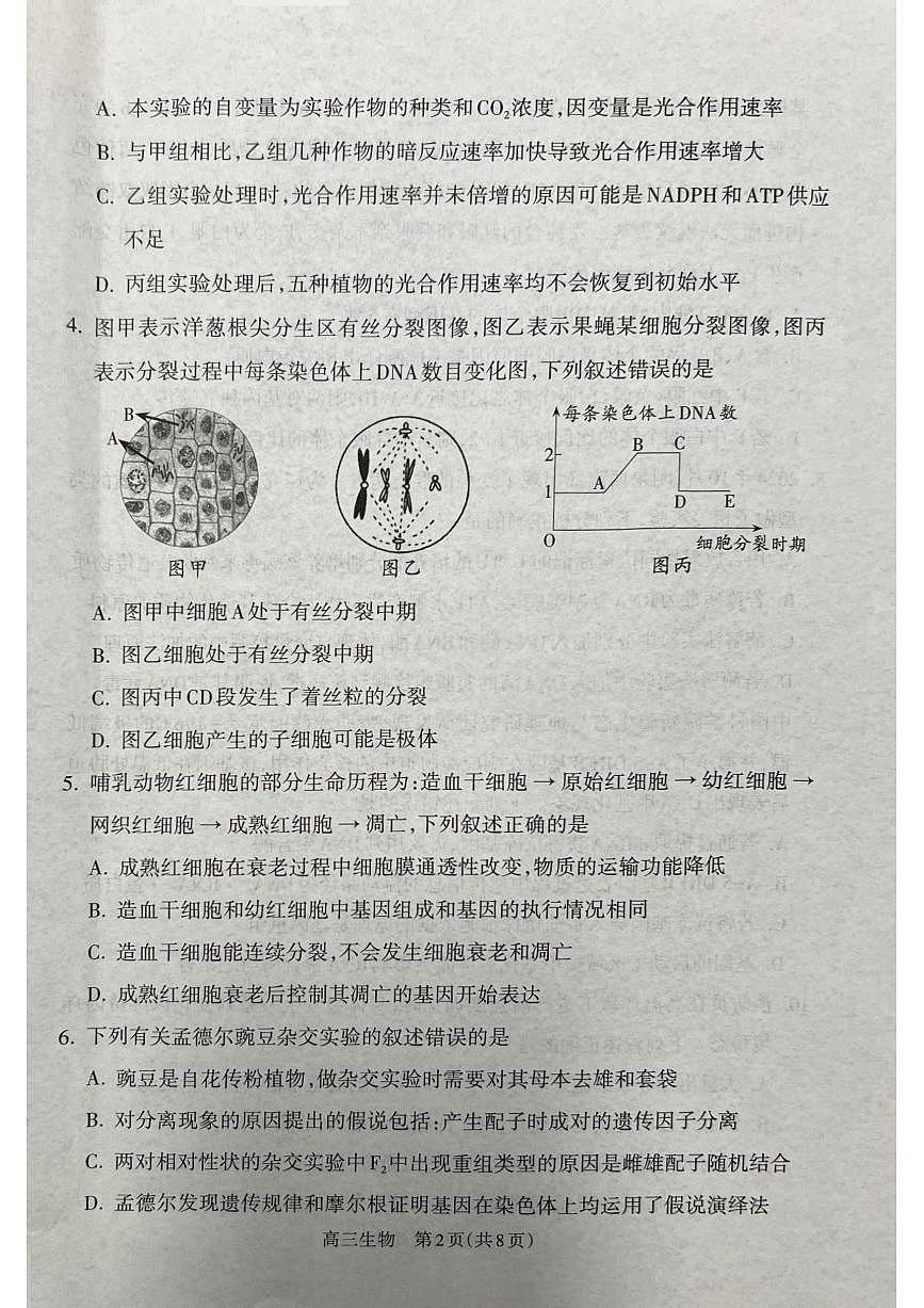 山西省吕梁市2024-2025学年高三上学期期末考试生物试题第2页