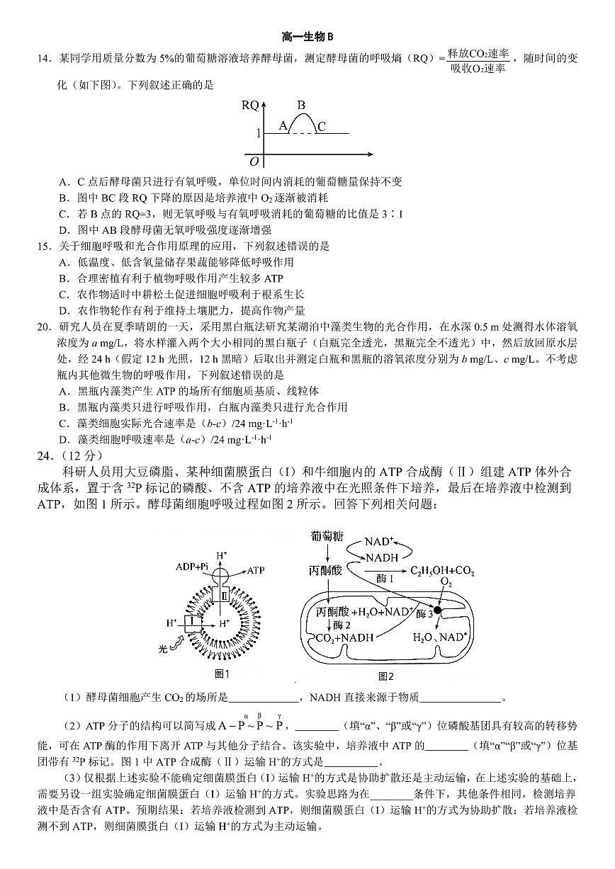 辽宁省点石联考2028届高一上学期期末质量监测生物试卷B（含答案）第1页