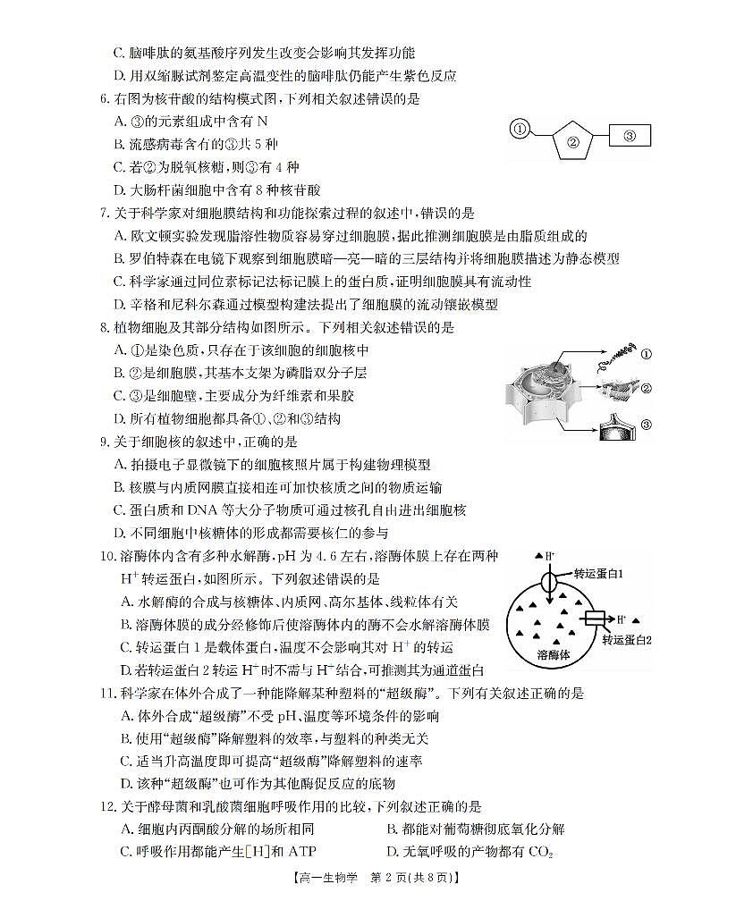 金太阳江苏省2025-2026学年高一上学期12月联考生物试卷（含答案）第2页