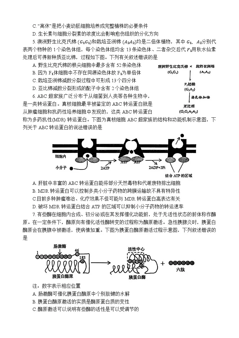 云南省红河州、文山州2025届高中毕业生第一次复习统一检测生物第2页