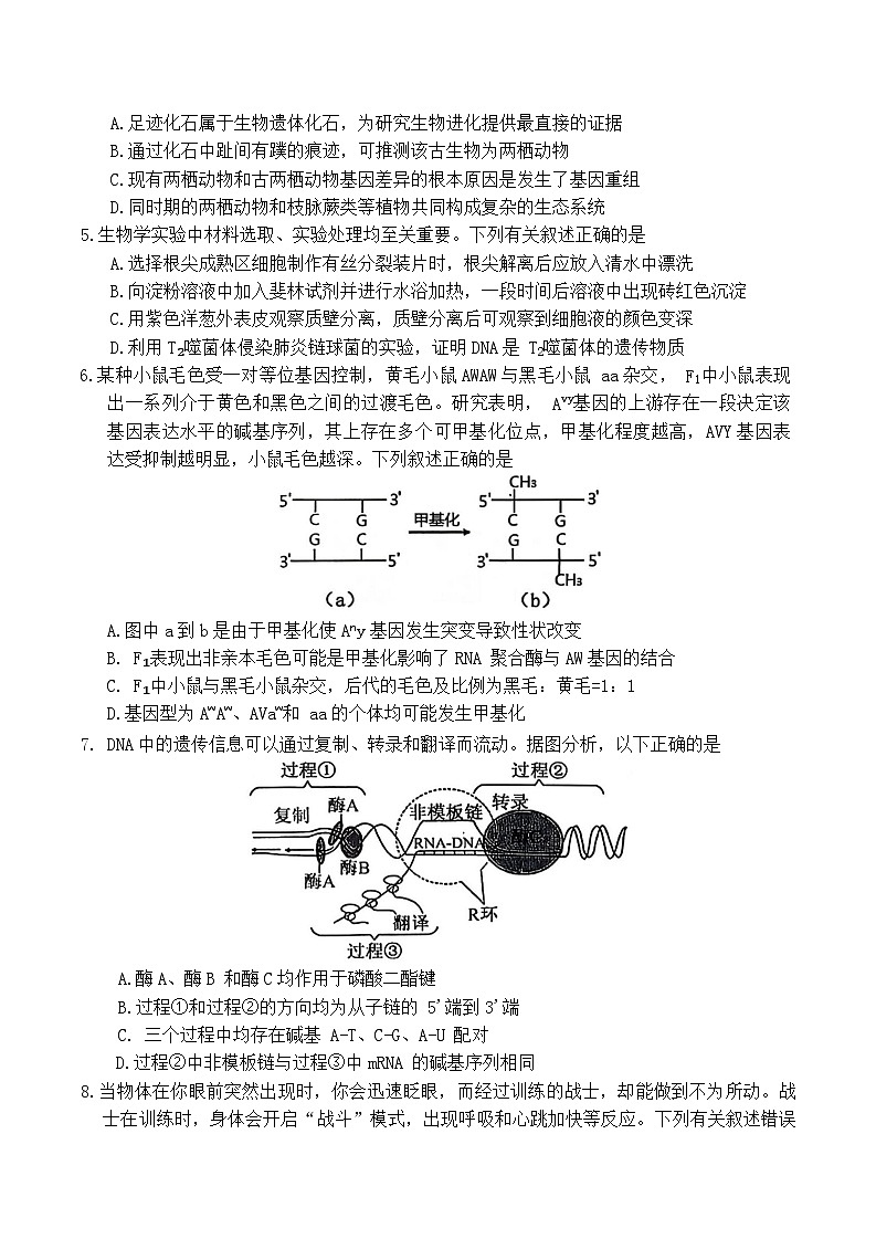 山西省大同市2026届高三年级第一次模拟考试质量监测生物学试卷（含答案）第2页