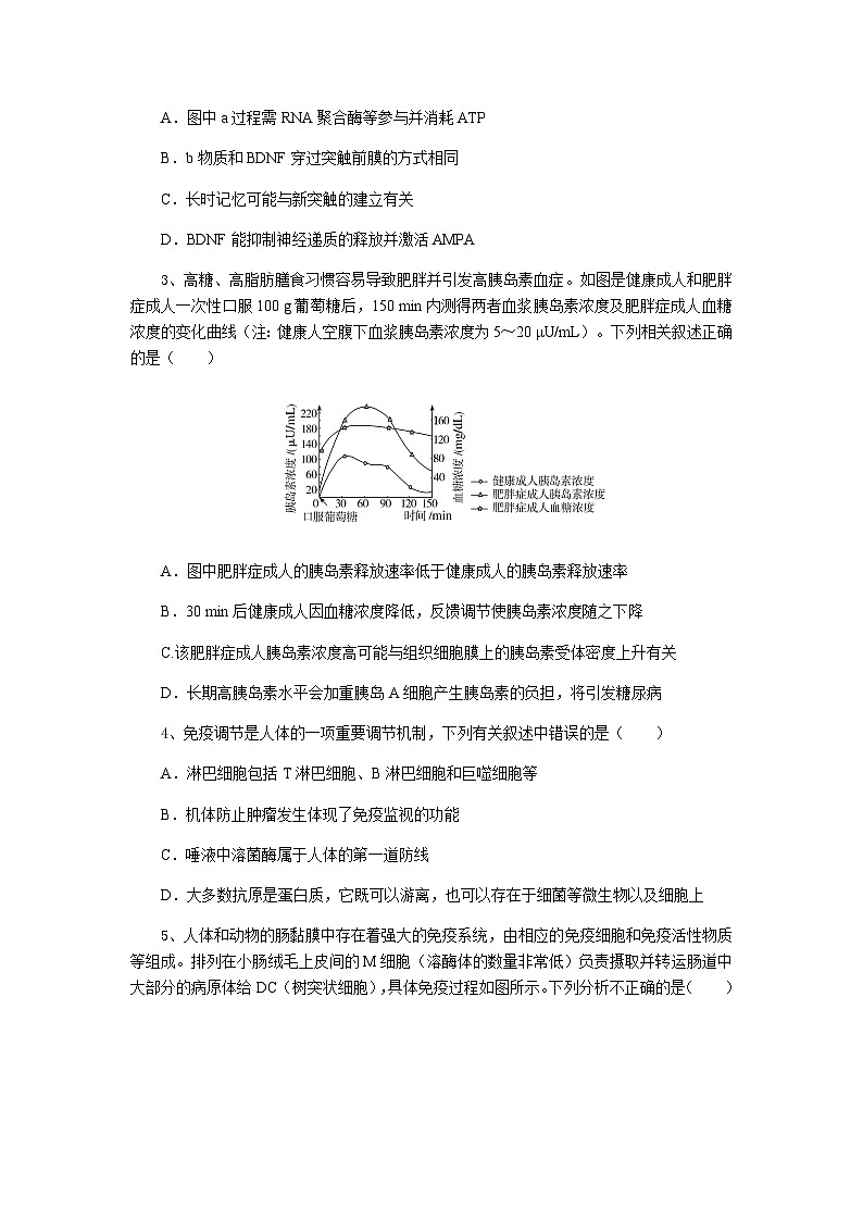 湖北省随州市部分高中2024-2025学年高二下学期2月月考生物试题第2页