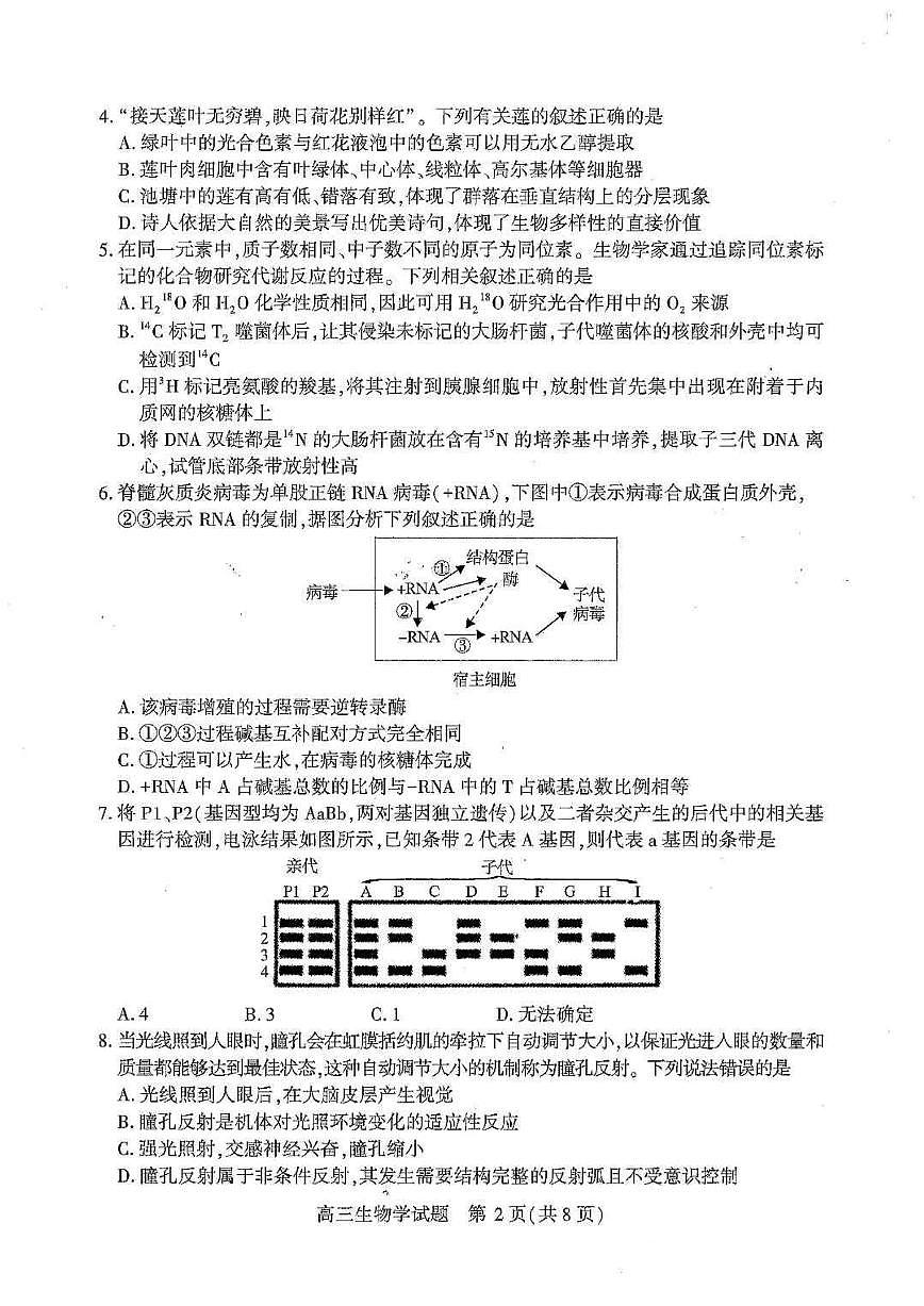 湖北襄阳市2026届高三年级下学期3月统一调研测试生物试题及答案第2页