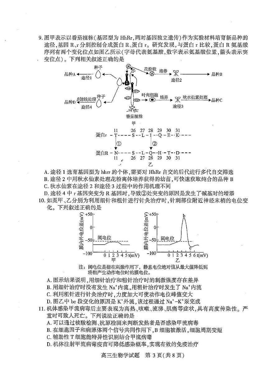 湖北襄阳市2026届高三年级下学期3月统一调研测试生物试题及答案第3页
