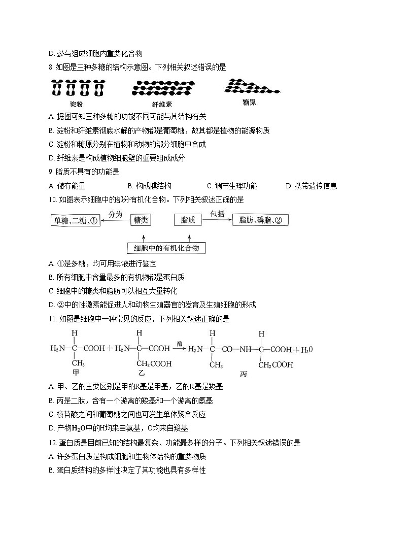 安徽省县域联盟2025_2026学年高一上学期11月质量检测生物试题（文字版，含答案）第3页