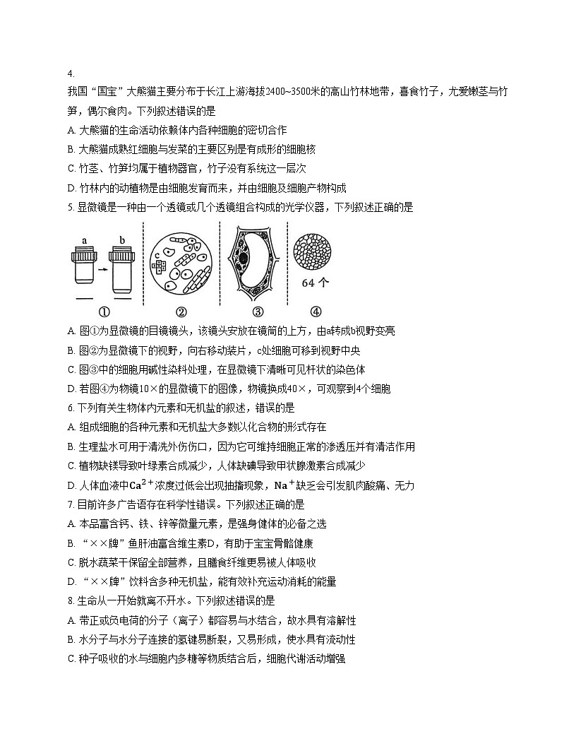 河南省洛阳市2025_2026学年高一上学期11月期中生物试题（文字版，含答案）第2页