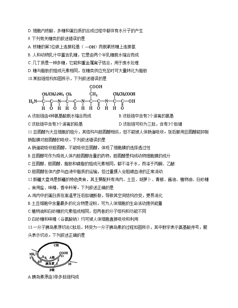 河南省洛阳市2025_2026学年高一上学期11月期中生物试题（文字版，含答案）第3页