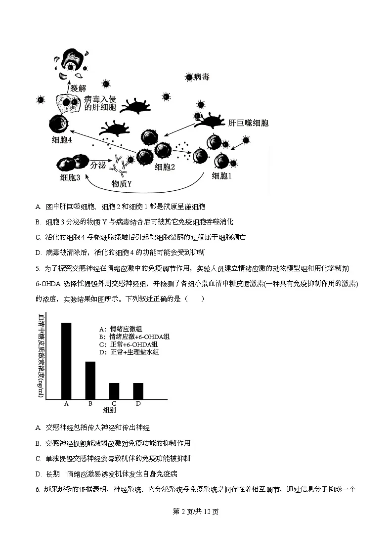 湖南湘西州2025-2026学年高二上学期期末质量检测试 生物学试题 Word版无答案第2页