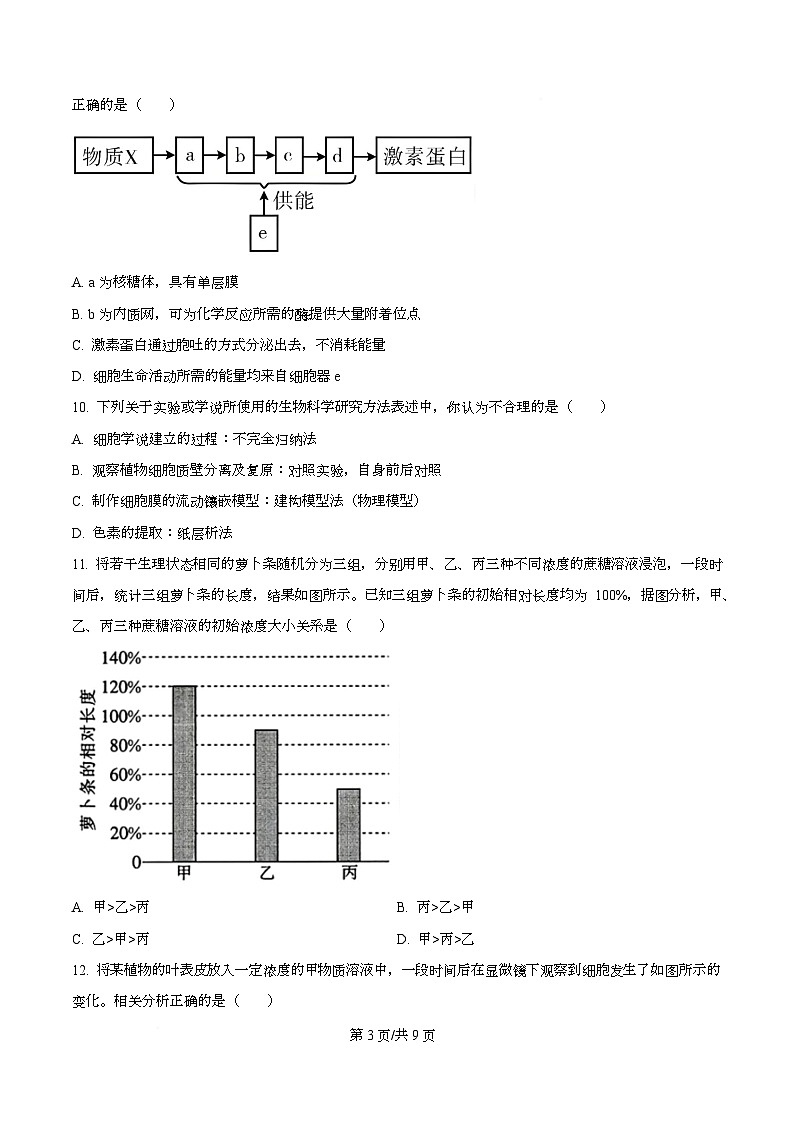 市示范2024-2025学年高一上学期期末生物试卷  Word版无答案第3页
