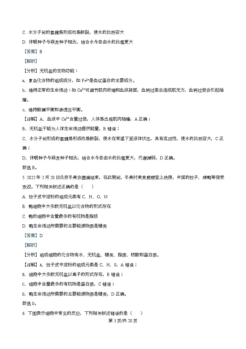 市示范2024-2025学年高一上学期期末生物试卷  Word版含解析第3页