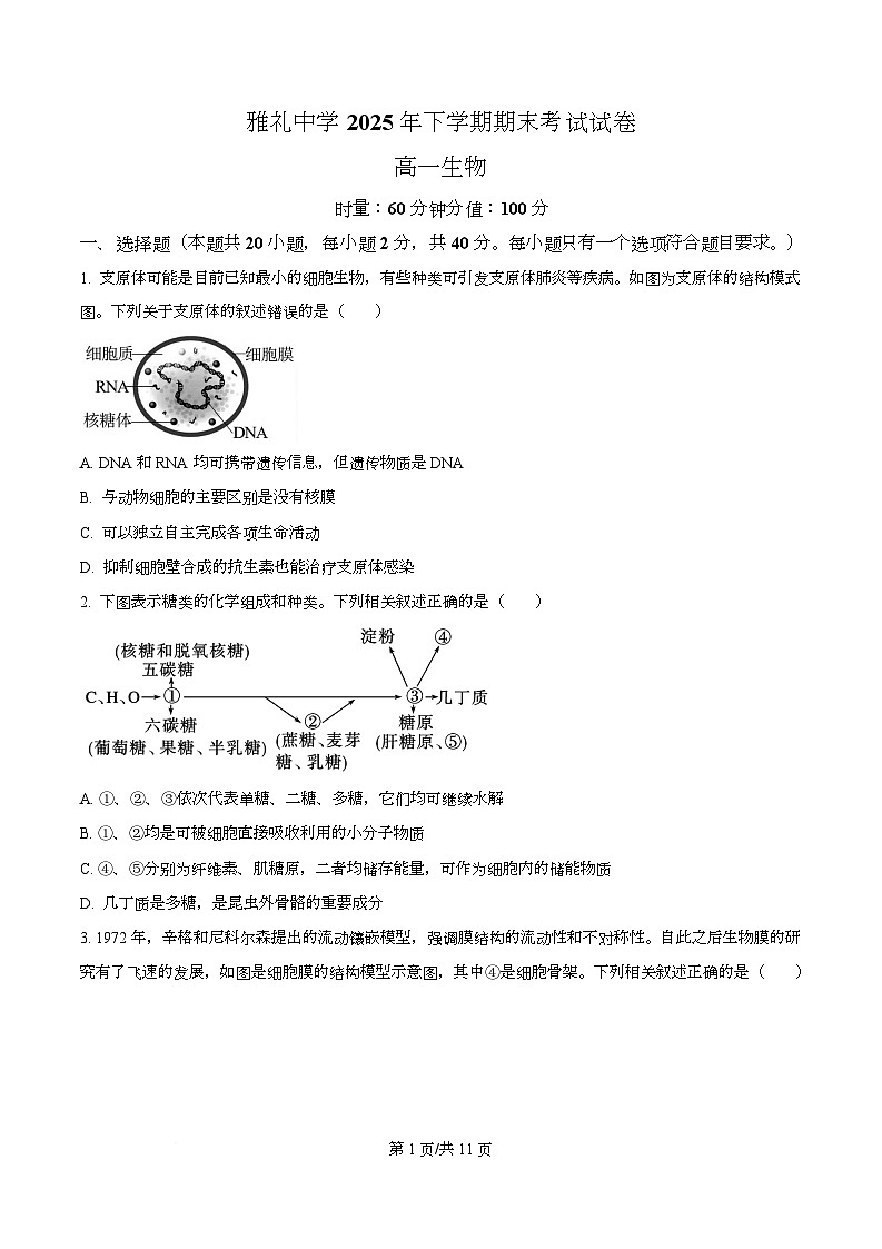 雅礼中学2025年下学期期末考试高一生物试卷 Word版无答案第1页