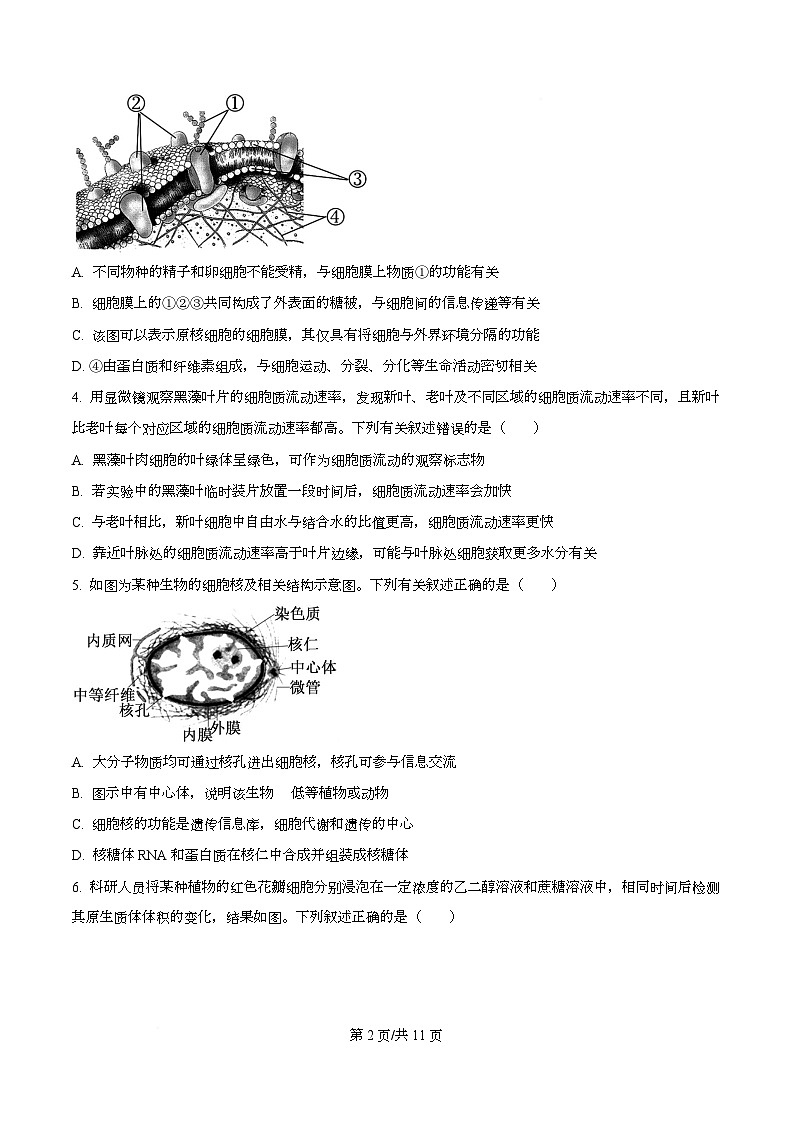雅礼中学2025年下学期期末考试高一生物试卷 Word版无答案第2页