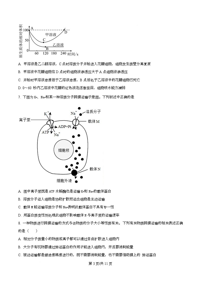 雅礼中学2025年下学期期末考试高一生物试卷 Word版无答案第3页