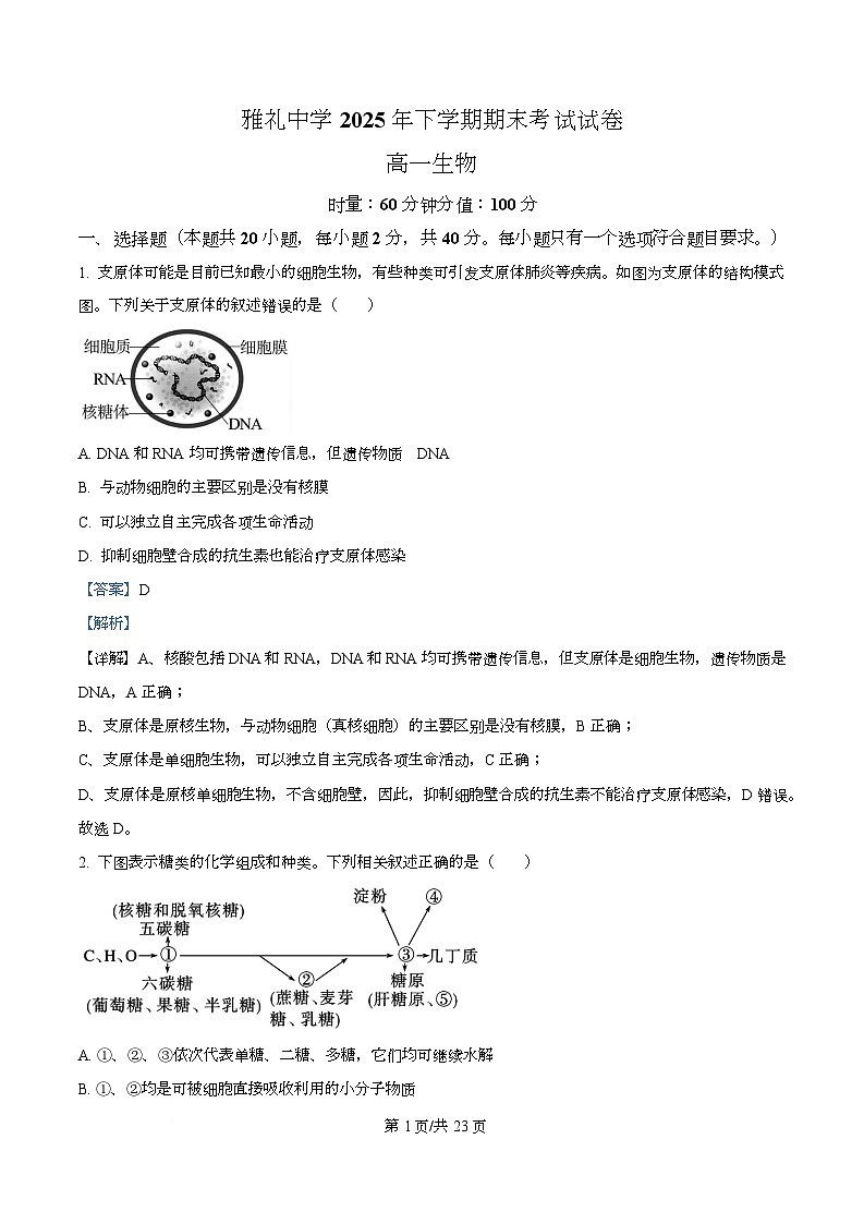 雅礼中学2025年下学期期末考试高一生物试卷 Word版含解析第1页